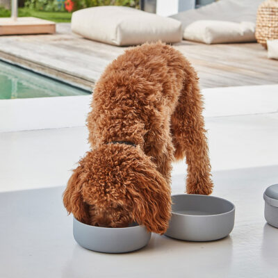 bento-travel-bowls-3