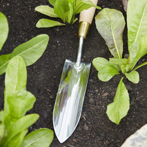 long-thin-trowel