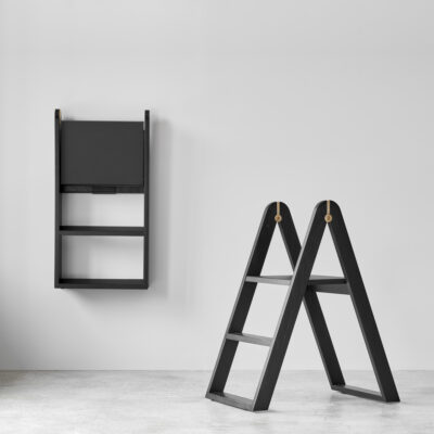 reech-stepladder-1