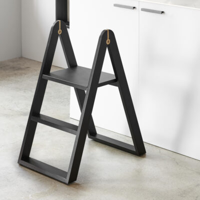 reech-stepladder-2
