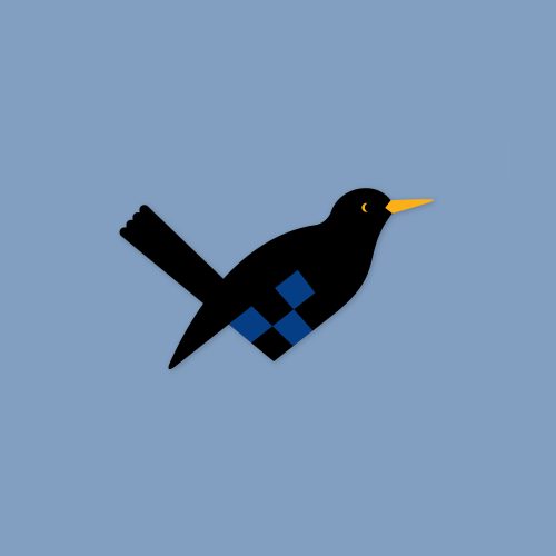 blackbird-1