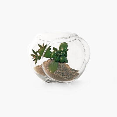bolla-bowl-10