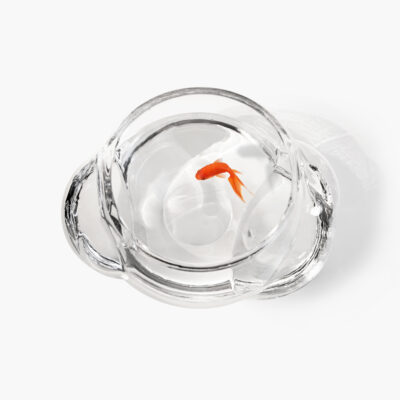 bolla-bowl-6