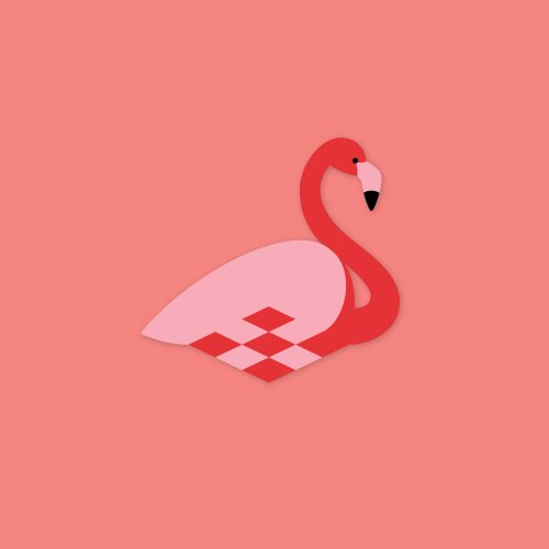 flamingo-1