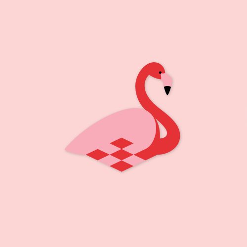 flamingo