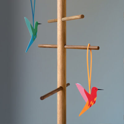 hummingbird-6