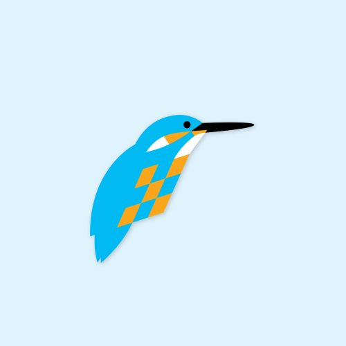 kingfisher