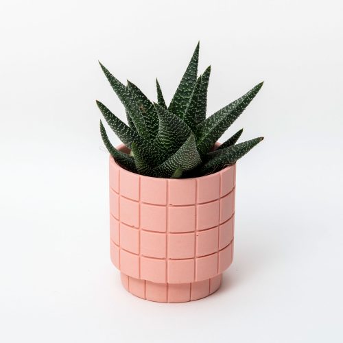 tile-square-plant-pot-5