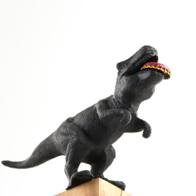 cast-iron-dinosaur-bottle-opener-5