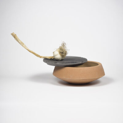 traccianti-bowl-short-2