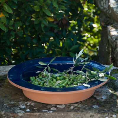 novi-fruit-bowl-blue-1