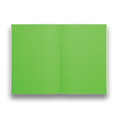 ndp-notebook-green-302