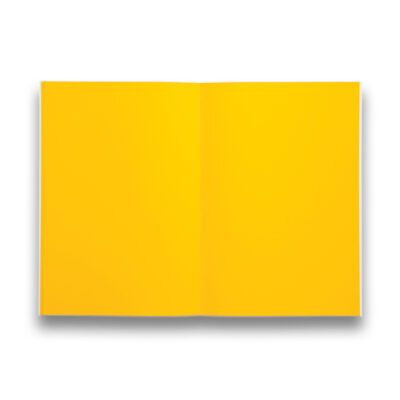 ndp-notebook-yellow-pages-305