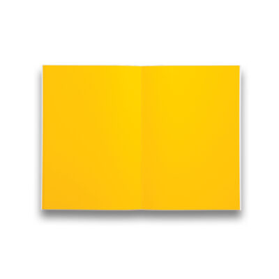 ndp-notebook-yellow-pages-605