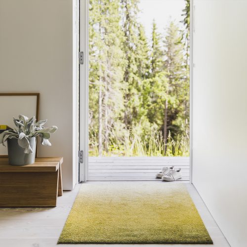 dis-indoor-mat-moss-6