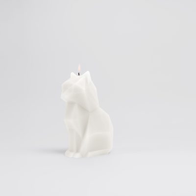 cat-candle-12