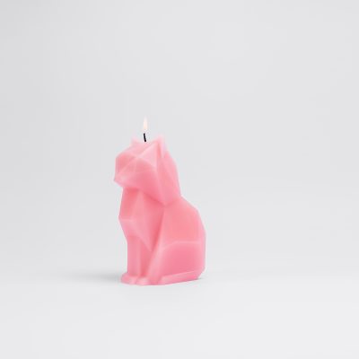 cat-candle-14
