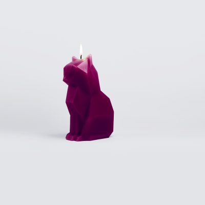 cat-candle-8