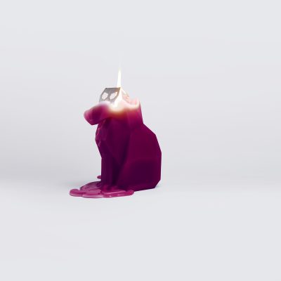 cat-candle-9