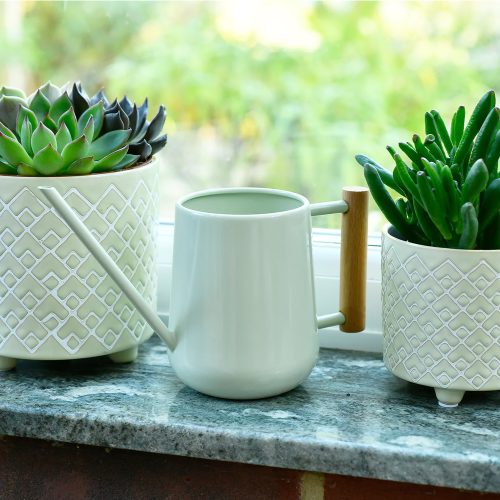 Indoor Watering Steel Can, Pale Jade - Gessato Design Store