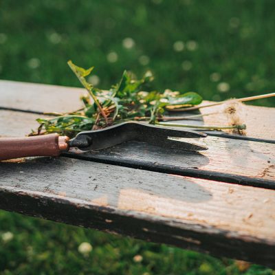Dandelion Weeding Fork - Gessato Design Store