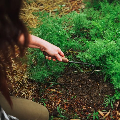 Japanese Weeding Hoe - Gessato Design Store