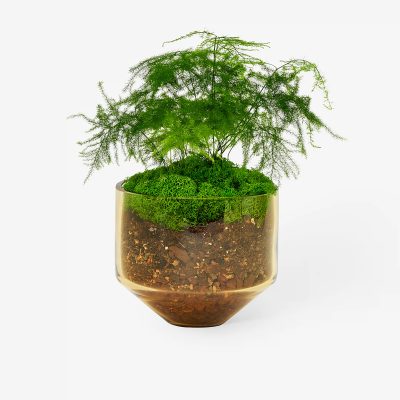 Model Three Planter - Gessato Design Store