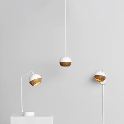 Ray Sphere Pendant Light - Gessato Design Store