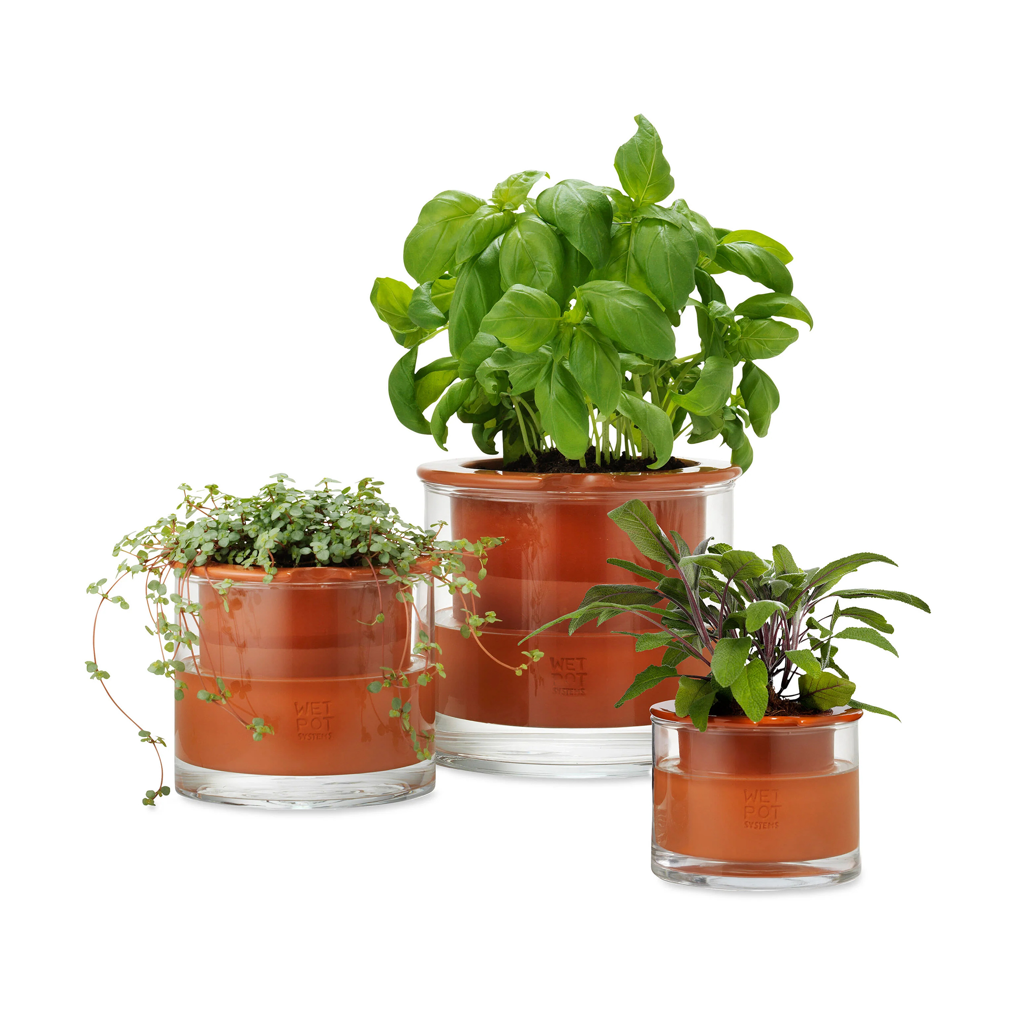 Wet Pot Systems - Self-Watering Wet Pots | Gessato Design Store