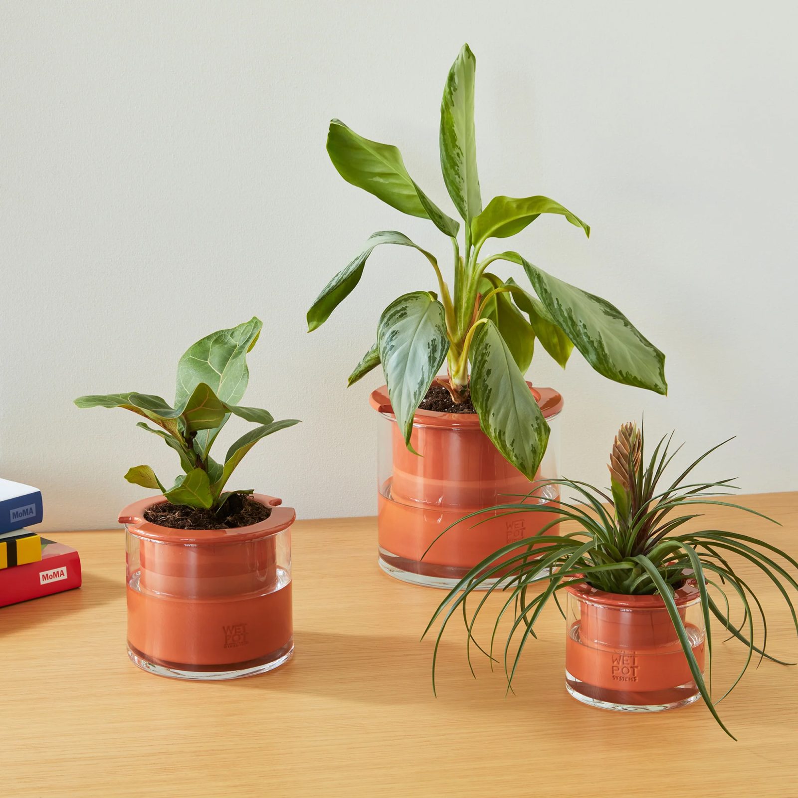 Wet Pot Systems - Self-Watering Wet Pots | Gessato Design Store