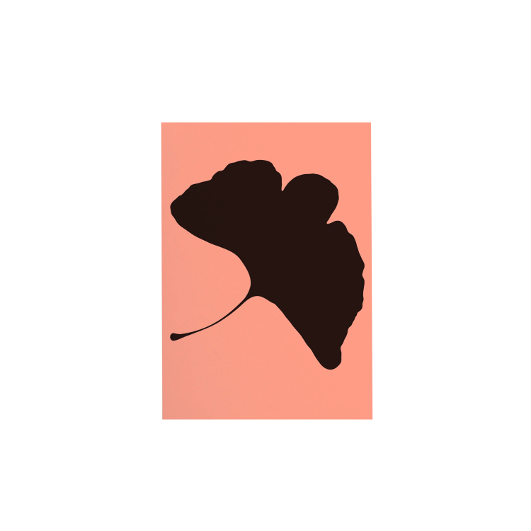 Gingko Pop Notecard – No.3