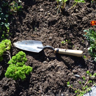 Master Shin's Anvil Trowel - Gessato Design Store