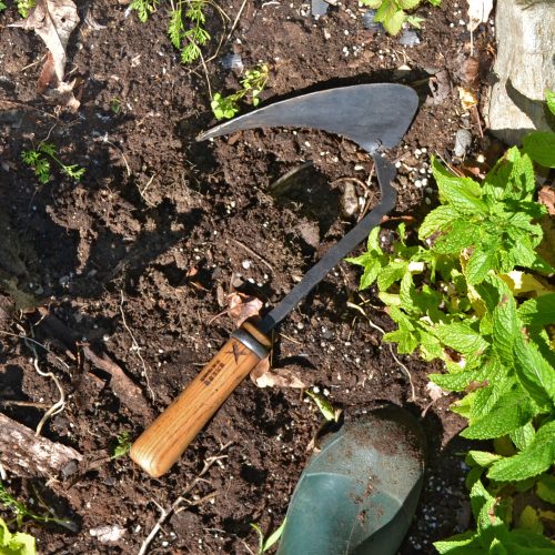 Master Shin's Anvil Weeding Hoe, Large - Gessato Design Store