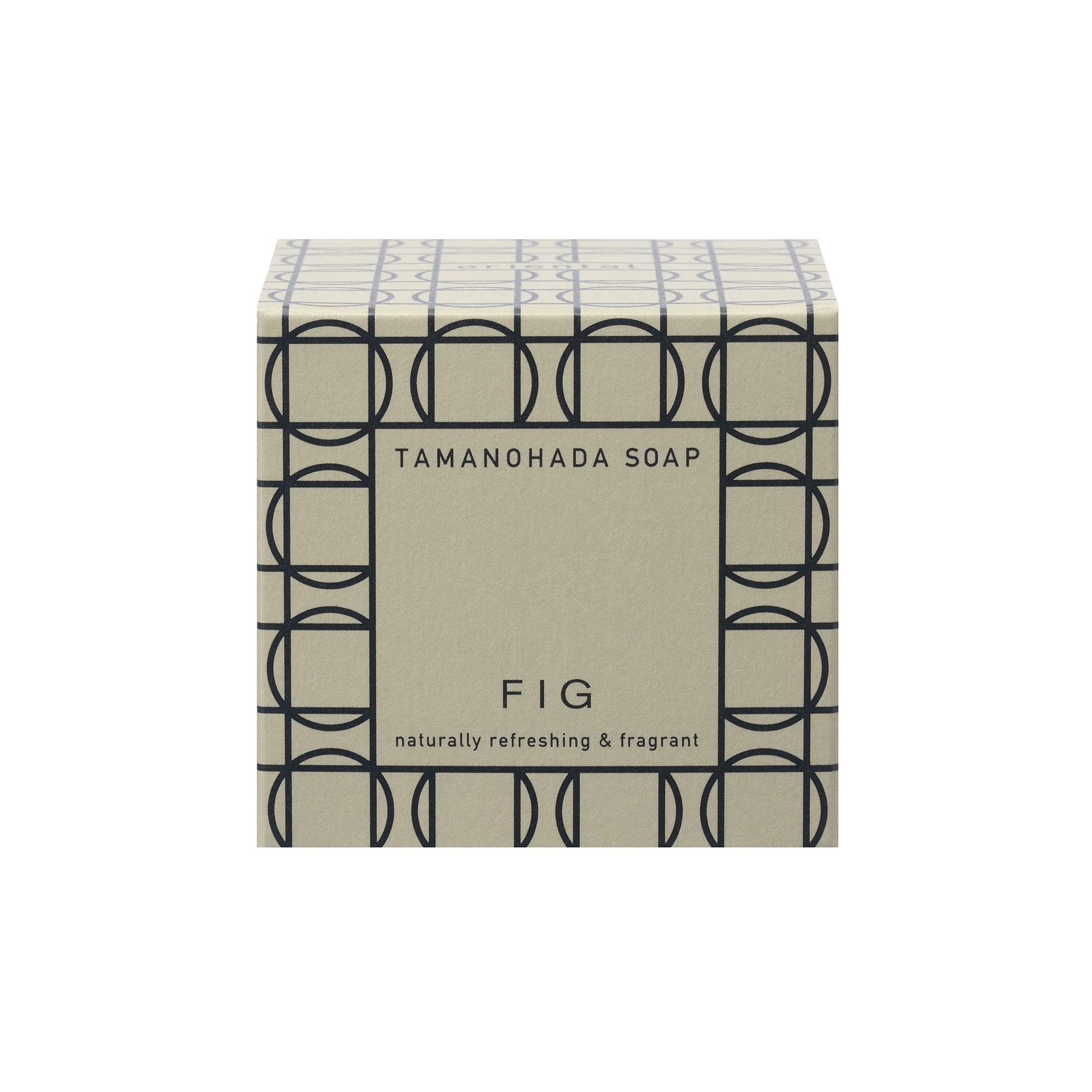  Fig