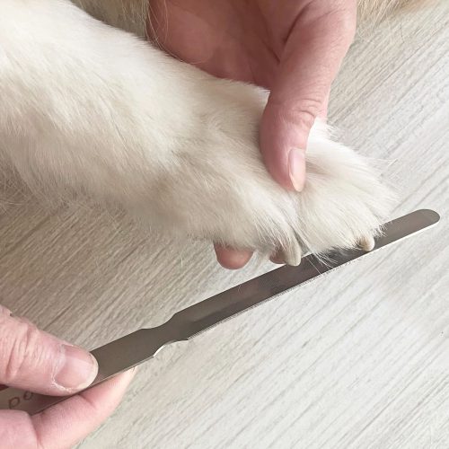 Yoshida Yasuri Dog Nail File - Gessato Design Store