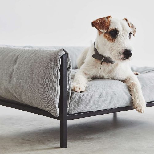 Brandina Dog Sofa - Gessato Design Store