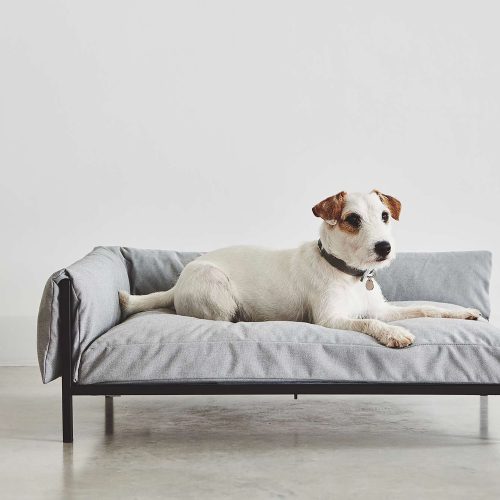 Brandina Dog Sofa - Gessato Design Store