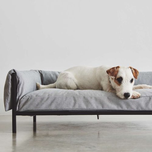 Brandina Dog Sofa - Gessato Design Store