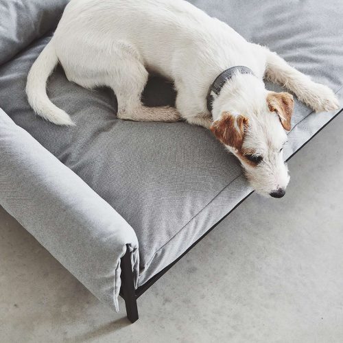 Brandina Dog Sofa - Gessato Design Store