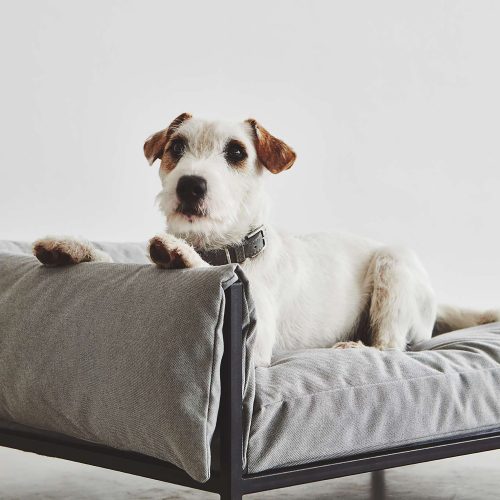 Brandina Dog Sofa - Gessato Design Store