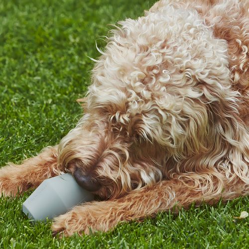 Cono Minimalist Dog Toy - Gessato Design Store