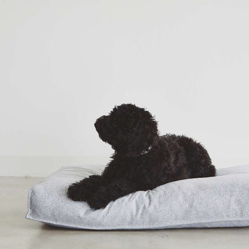 Divo Dog Cushion - Gessato Design Store