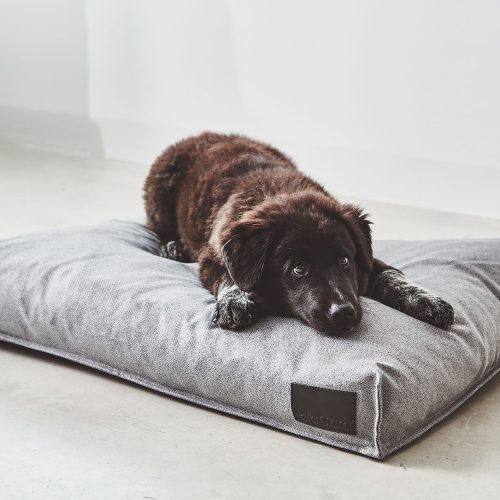 Divo Dog Cushion - Gessato Design Store