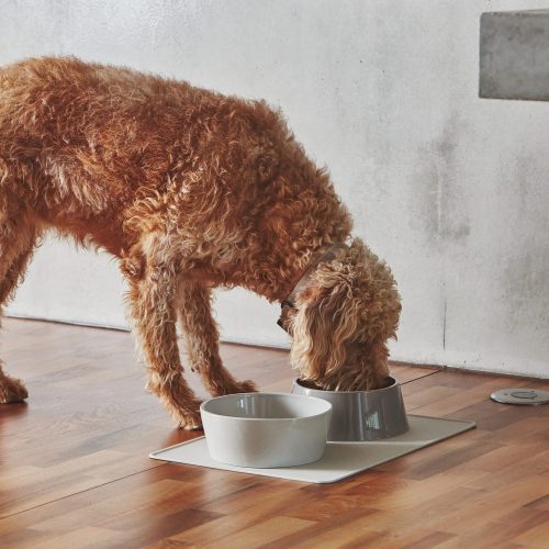 Doppio Dog Bowl Set - Gessato Design Store