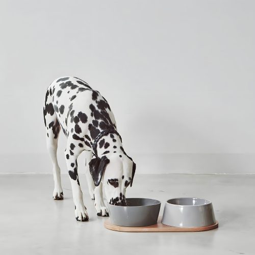 Doppio Dog Bowl Set - Gessato Design Store