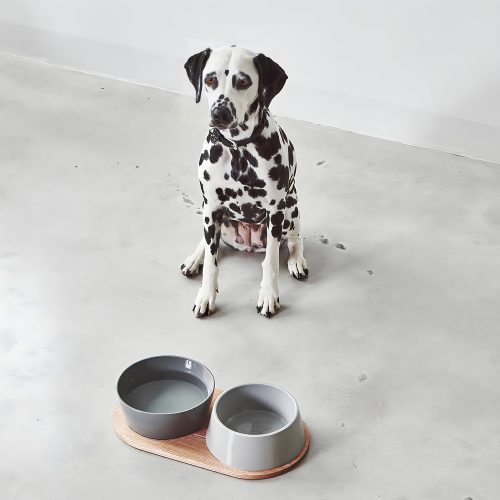 Doppio Dog Bowl Set - Gessato Design Store