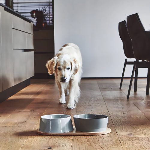 Doppio Dog Bowl Set - Gessato Design Store