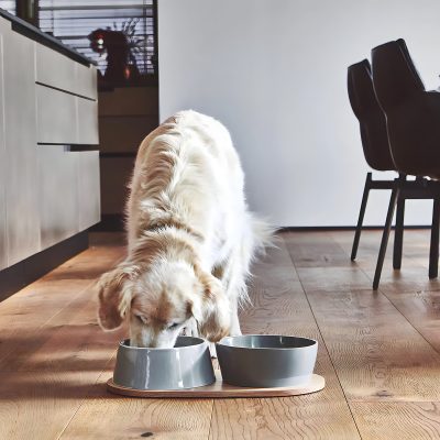 Doppio Dog Bowl Set - Gessato Design Store