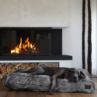 Felpa Dog Cushion - Gessato Design Store