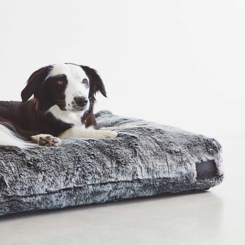 Felpa Dog Cushion - Gessato Design Store